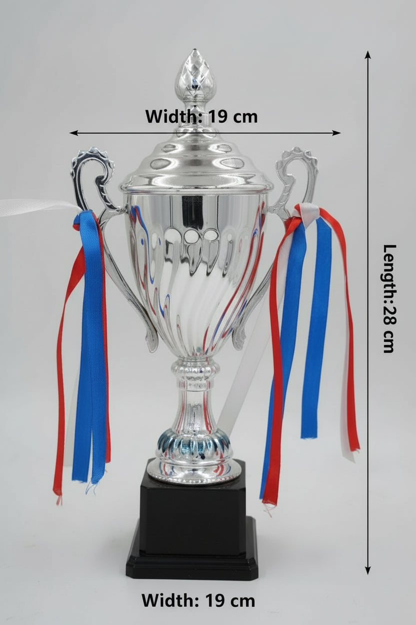 Winner award cup in silver with handles and black base
Sports tournam