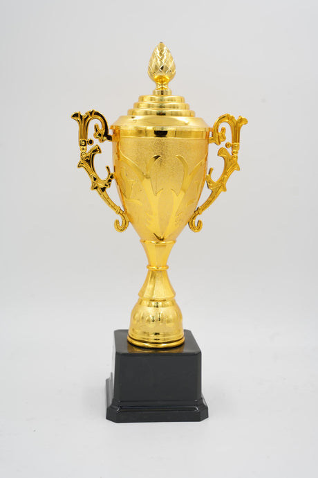 Premium winner award in polished gold on a black pedestal, 24 cm wide