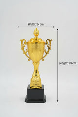 Tall, classic gold cup trophy with lid and handles, 29 cm height