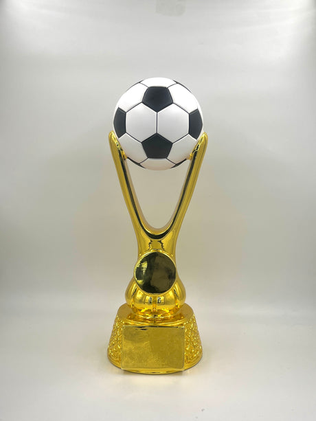 Gold trophy with a black and white soccer ball on top against a white background.