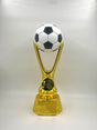 Gold trophy with a black and white soccer ball on top against a white background.