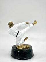 Detailed pewter-finish figure of a Karate/Taekwondo master on a black base.