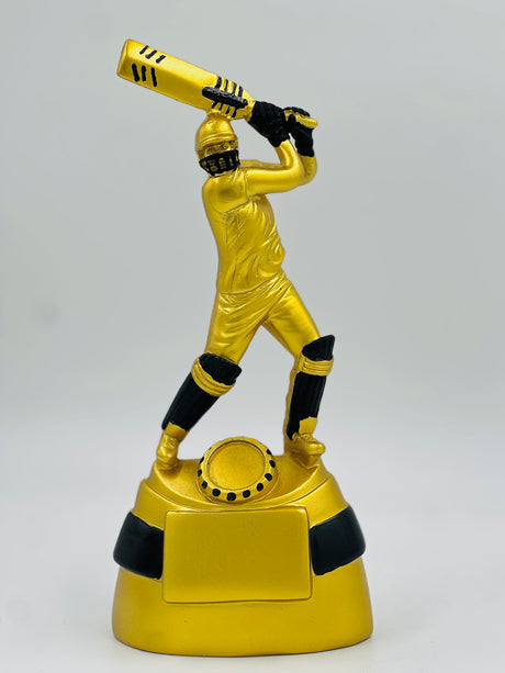 Premium gold cricket trophy—the ultimate recognition award for league championships and top performers.