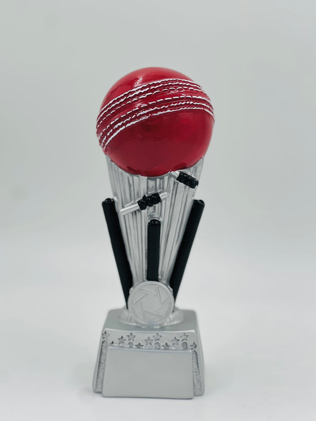 Premium cricket match ball trophy—the ultimate commemorative award for champions and best player recognition.
