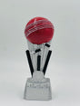 Premium cricket match ball trophy—the ultimate commemorative award for champions and best player recognition.