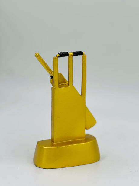 Premium gold cricket champion's trophy—a stunning recognition award for school, club, or corporate tournaments.