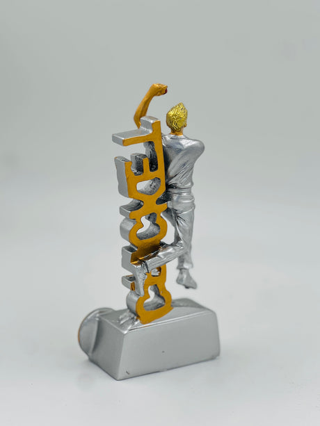 Premium silver trophy for the Best Bowler or Man of the Match—a lasting memento for cricket tournaments and recognition ceremonies.