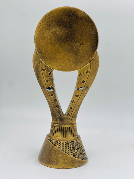 Resin sports award with a high-shine silver finish, featuring a cricket bowler and a star emblem on the base, perfect for personalization.