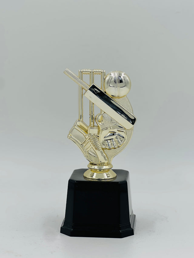 Affordable and timeless gold cricket champion's trophy—a perfect memento for tournament winners or Best Batsman awards.