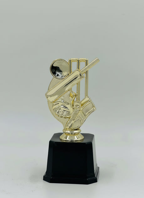 Small, resin-cast gold cricket award on a black plinth, ideal for club, school, or corporate cricket competition recognition.