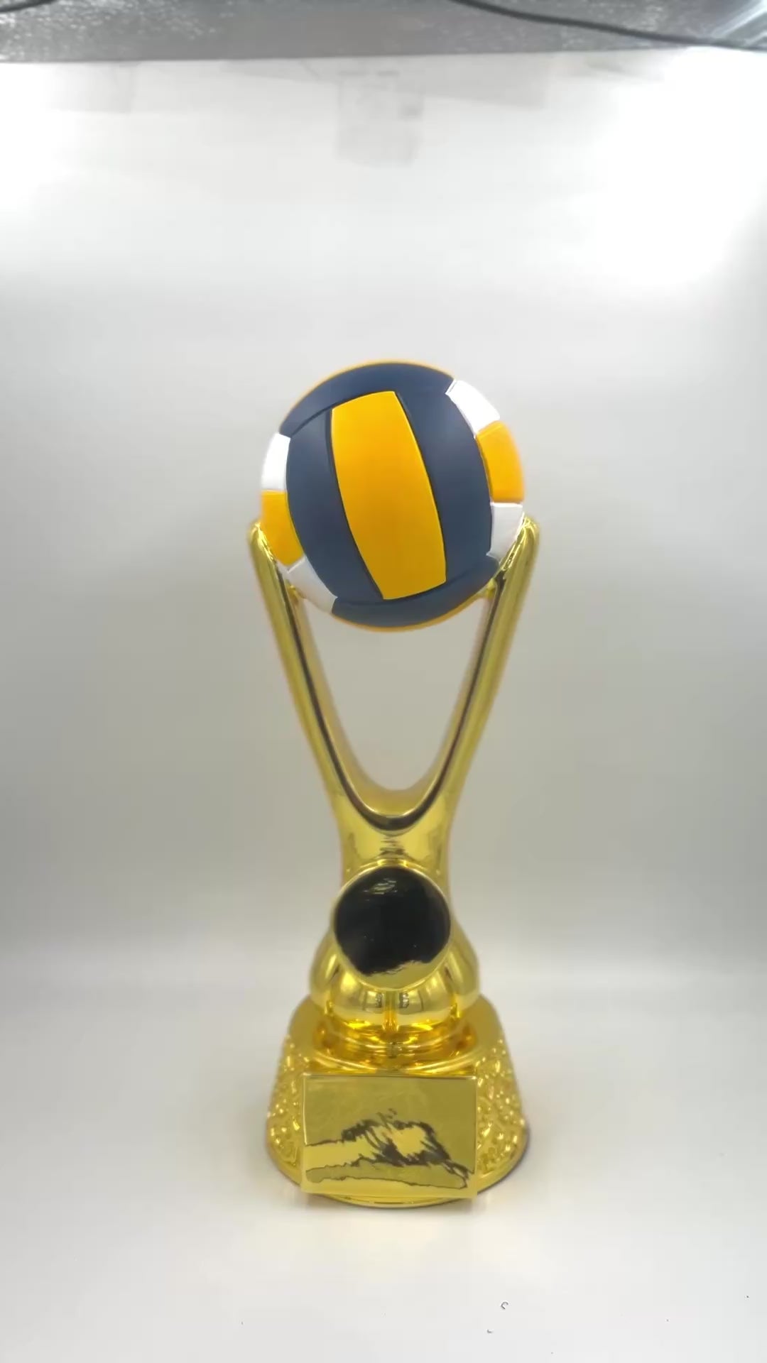 Championship award for a volleyball league or Most Valuable Player (MVP) in a tournament.