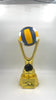 Championship award for a volleyball league or Most Valuable Player (MVP) in a tournament.